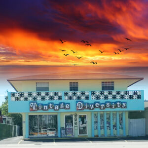Vintage Diversity